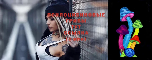 синтетический гашиш Алексеевка