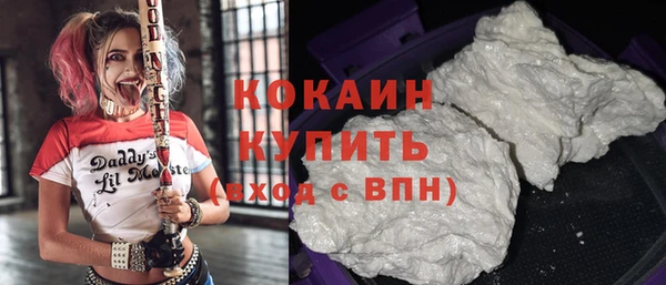 spice Алзамай